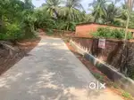 10 15 20 cents land for sale