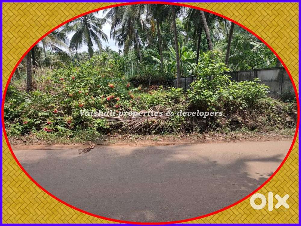 28 cents Commercial Plot for sale in near Chathamangalam - Wide Road