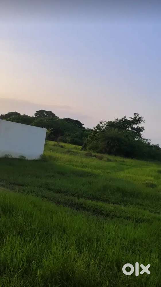 995sqt sembulivaram in sholavaram tamil nadu price-700per sq feet