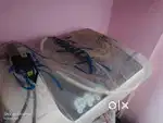 Water purifier