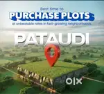 Ddjay plot