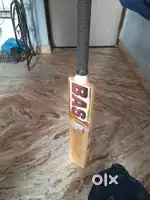 Cricket bat