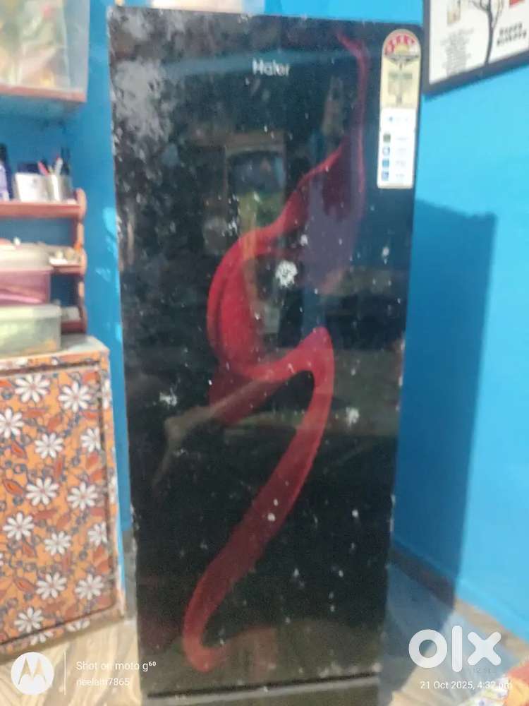 Haier 2019 2204