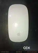 Apple mouse