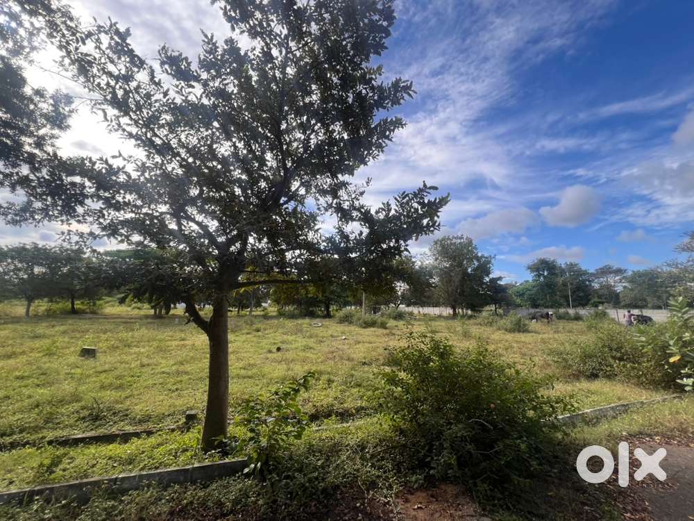 BMRDA Approved plot for SALE