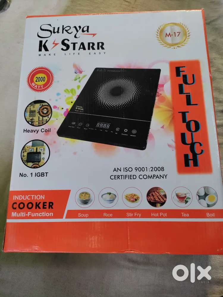 Induction cooker multi-Function