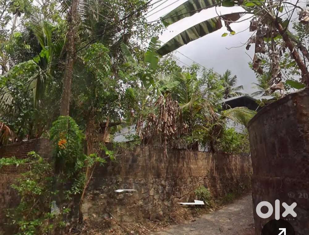 8.75 cents, proper Nedumangad, ideal residential plot