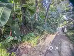 House plot 10 cents near MC road Caritas 4.60 lakh/cent