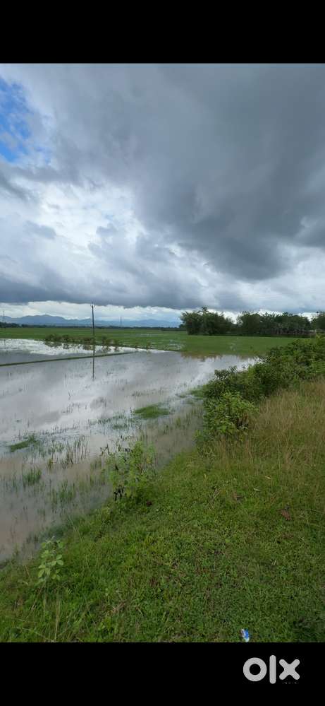 Myadi plot
