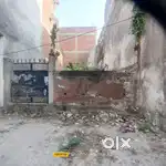 100 gaj plot