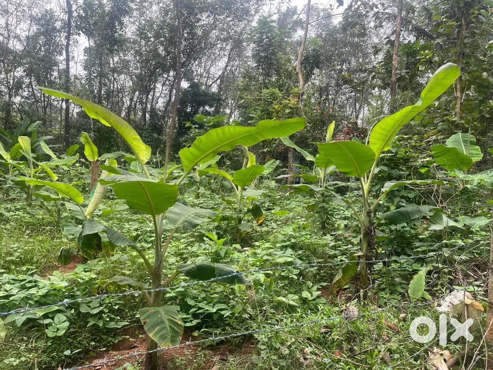 Keezhilam mc road 800 mtr residential area open well water available