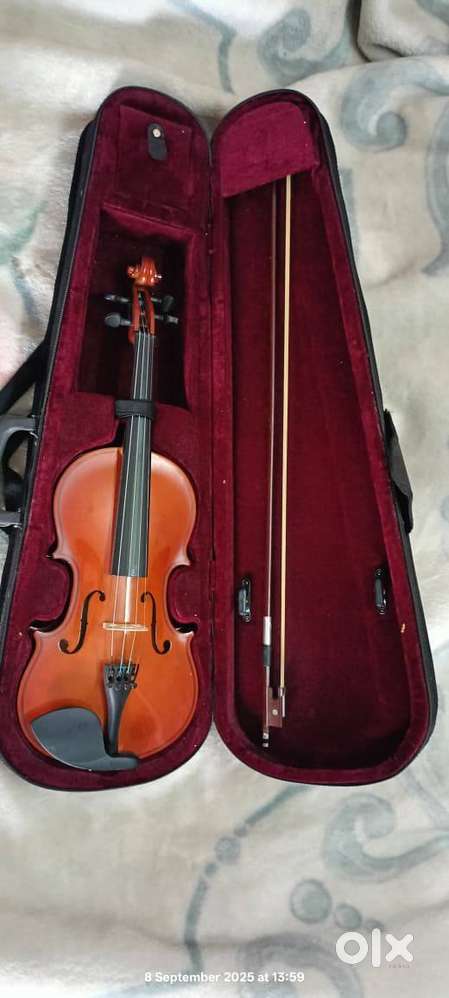 Best Violin