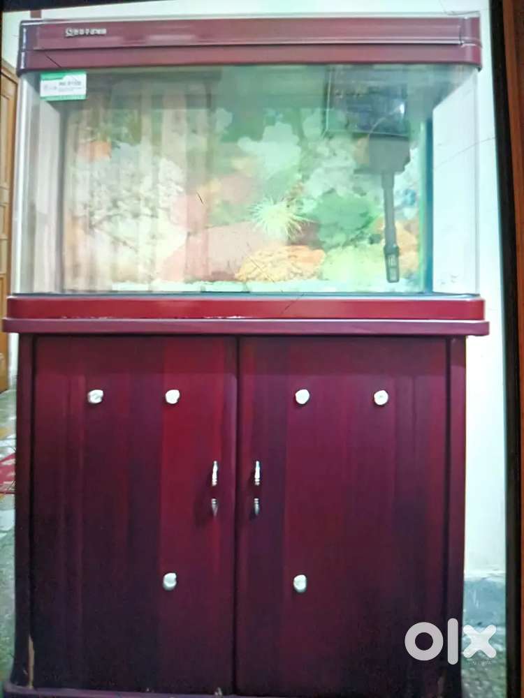 Aquarium Tank