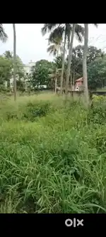 10 acre land for sale kudappanakunnu dry land. 6 lakh/ cent