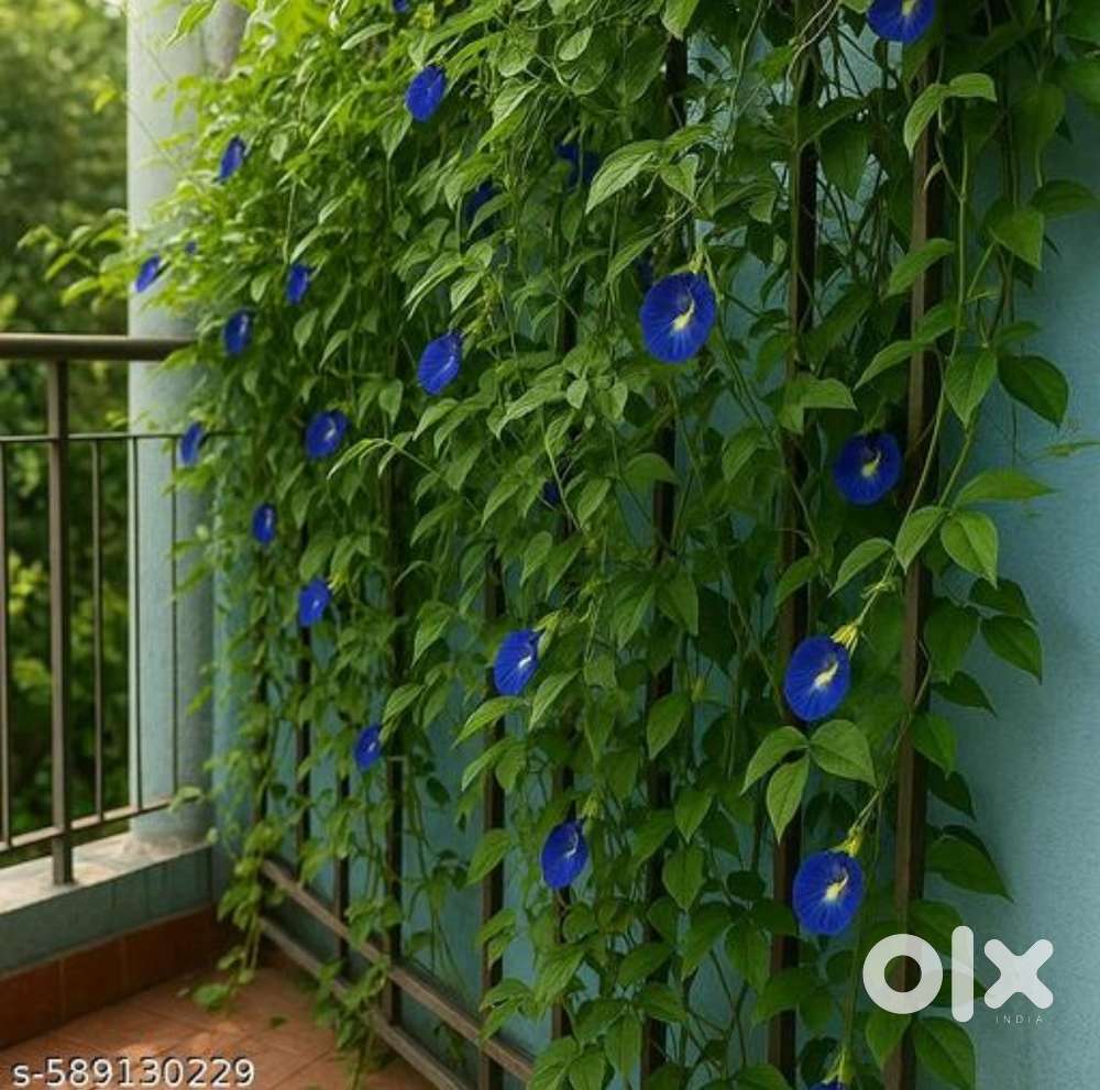 Bda approved 72 sq mtr plot