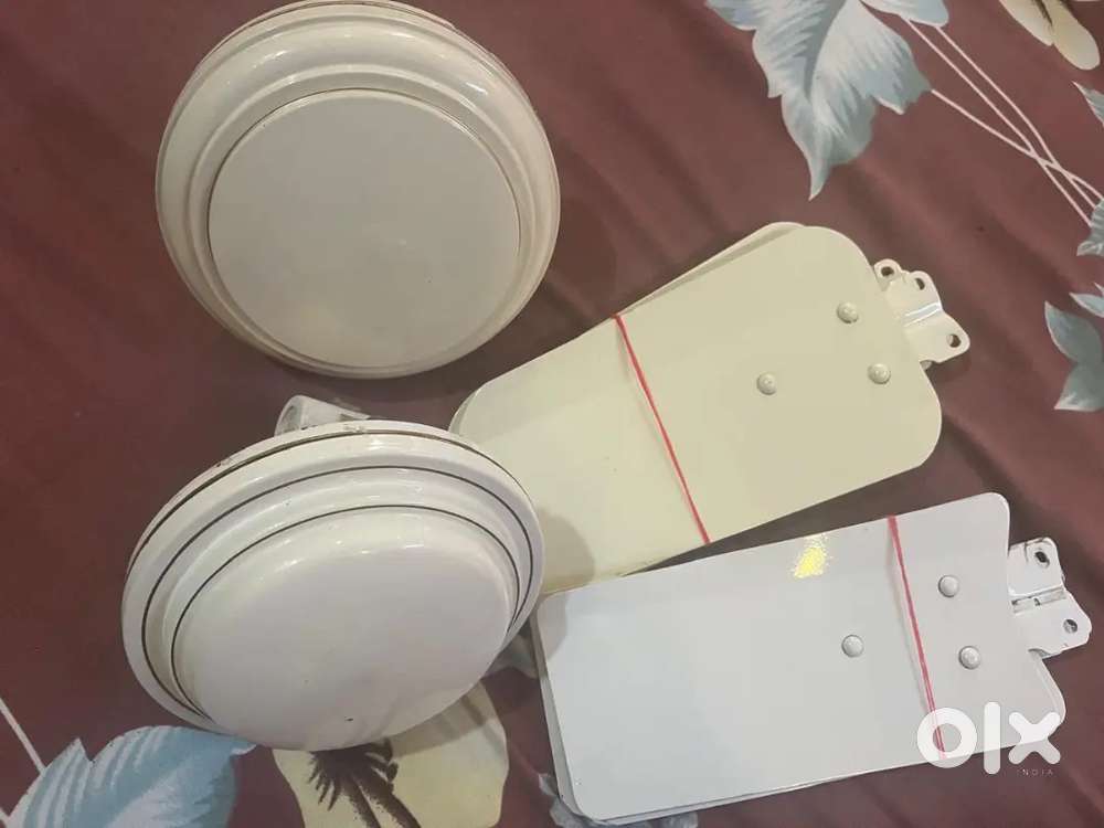 22 inch Seion (2) Ceiling fans