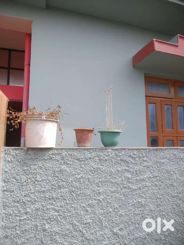 For Rent in Rishikesh (pashulok)