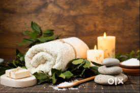 Wellness N Spa