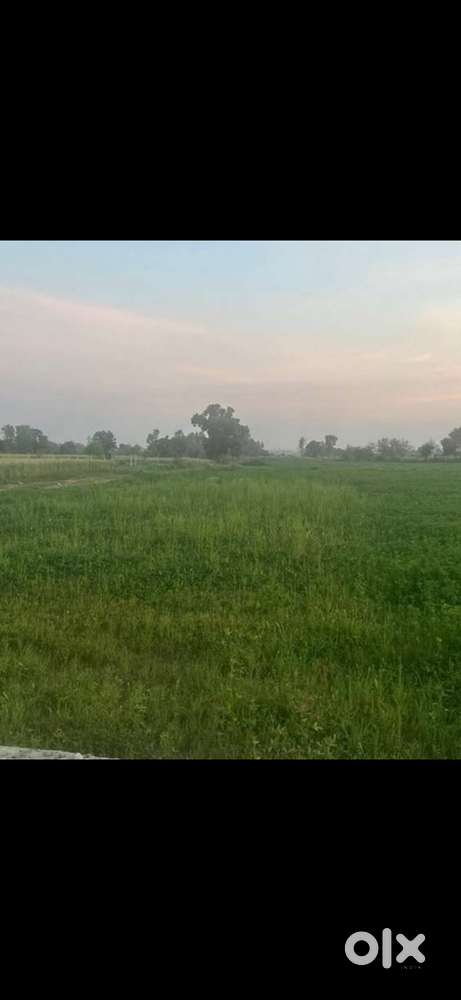 Land available for rent/lease at Nagrota