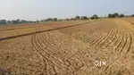 10 biga agriculture jmin