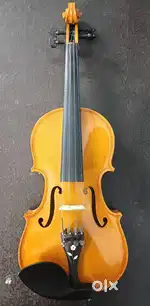 Acoustic violin