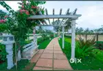 41x40,MUDA,for Sale at Saha Elegance, Bogadi Gaddige Main Road