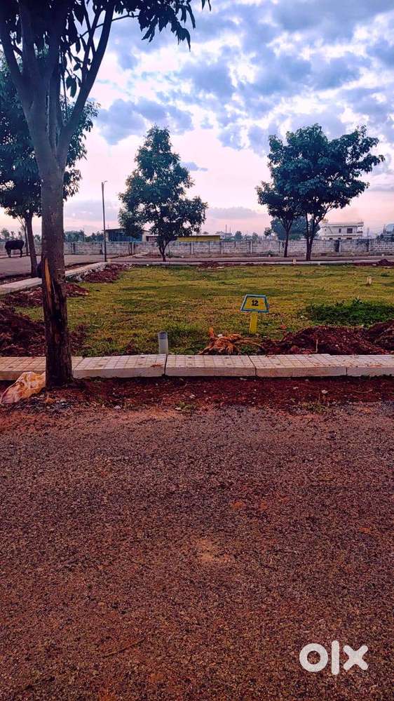Plots towords Devanahalli near Vijayapura town
