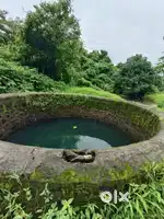 Agriculture Land Sale in Mangaon Nijampur Road Raigad