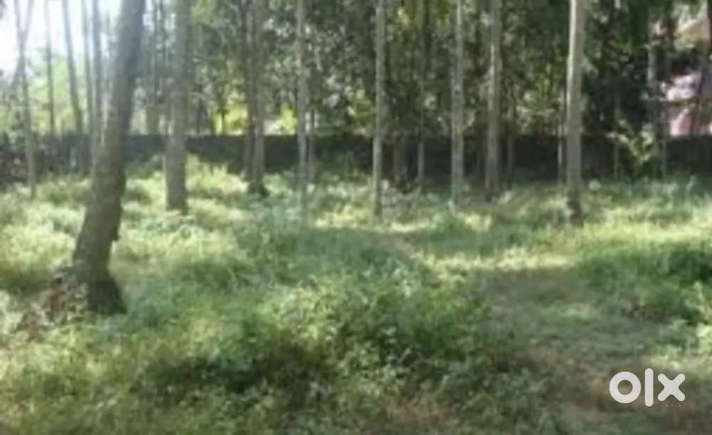 Veliyalukkal Plot For Sale Per Cent 10,00,000 Nagotiable