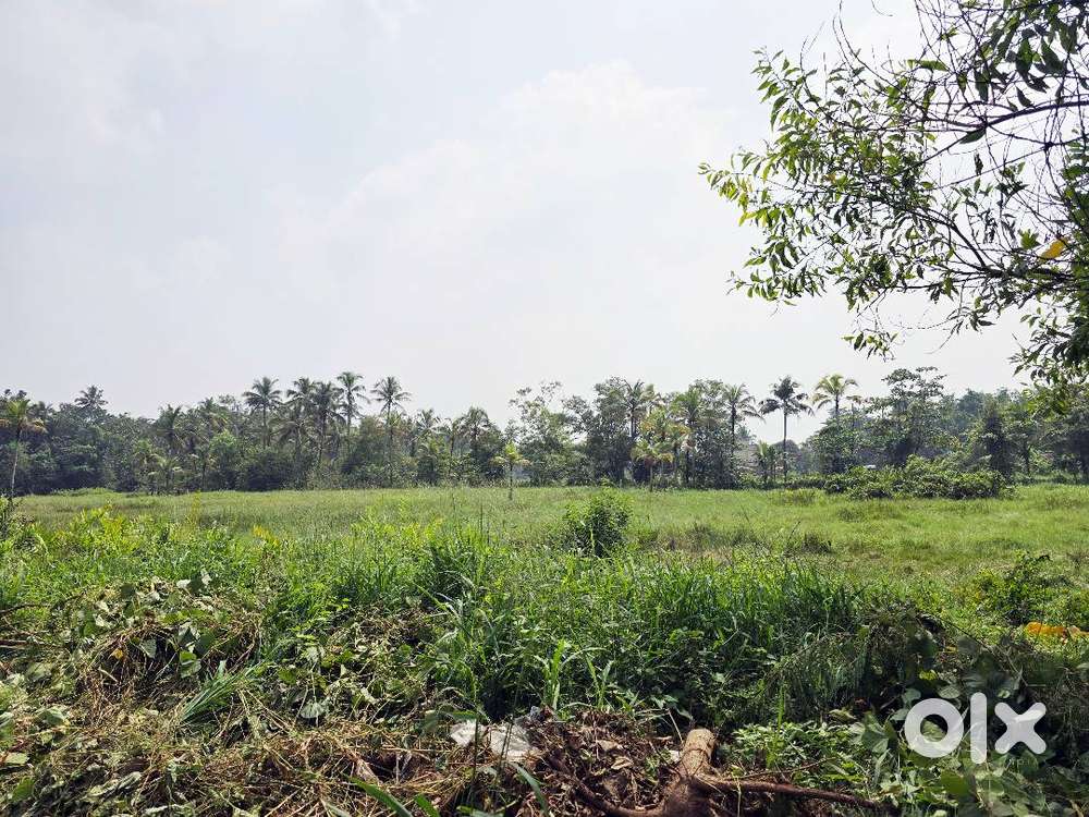 3 Acre 30 Cent Commercial Land for Sale Near Cheranallur Signal, Kochi