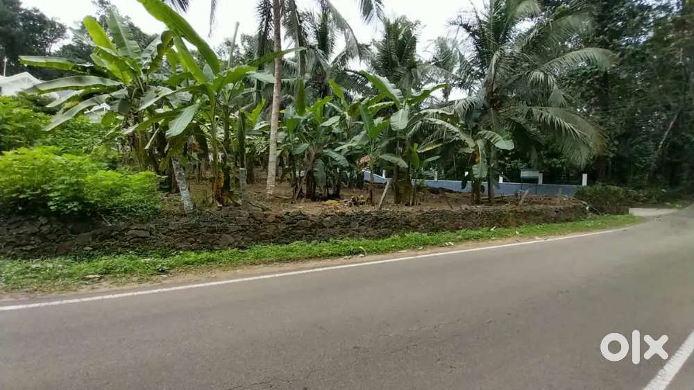 Edamattom 12.5 plot for sale  near church, temple, school, market