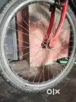 Very nice cycle