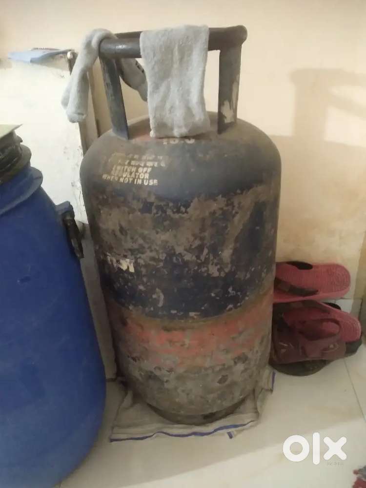 19 kg indian gus