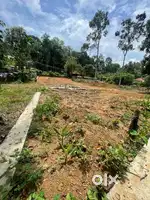 മൊത്തം വില 6 ലക്ഷം 4 സെന്റ്, വെള്ളം കയറാത്ത,ലോറി വഴി