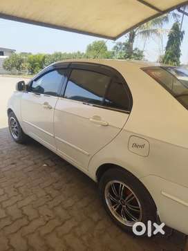Tata Manza