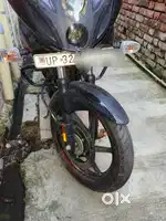 Arjent sale 5 month old