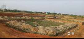 Allms hospital back site