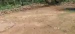 ഹൌസ് പ്ലോട്ടുകൾ