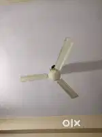 Sealling fan only one month old