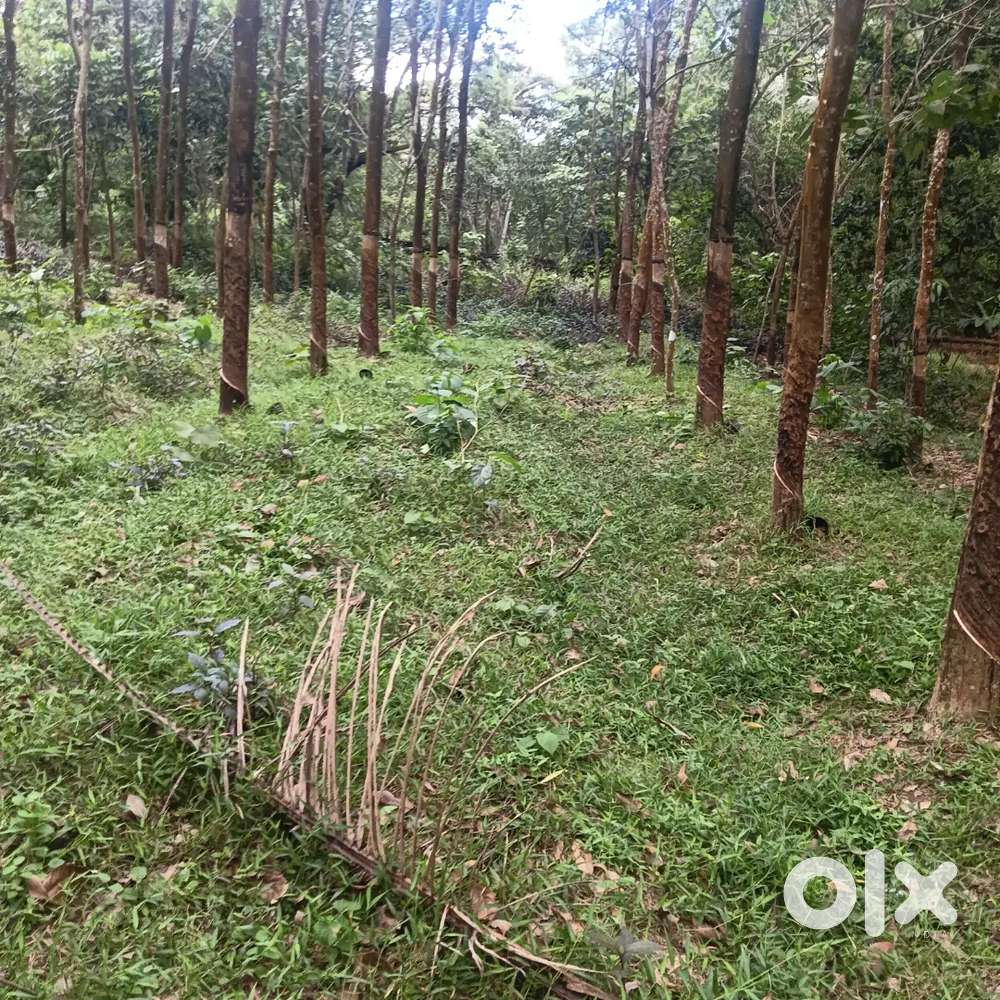 Plot for selling(1.5 acr)