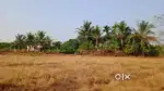 80 സെന്റ് സ്ഥലം 25L ബസ് പോകുന്ന റോഡ് side പറക്കളയി kanhangad