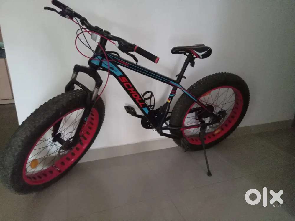Fat tyre bike