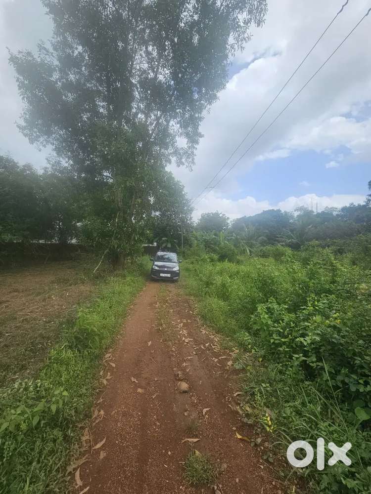 12 cent Housing Plot Near C.H CENTRE PARIYARAM