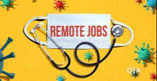 Back Office Executive (Data Entry) WFH