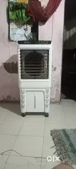 Cooler 45 ltr