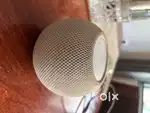 Apple home pod mini