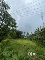 Pathali pahar Road side area- NH15 (Lakhimpur)