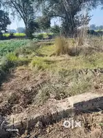 On road commercial plot