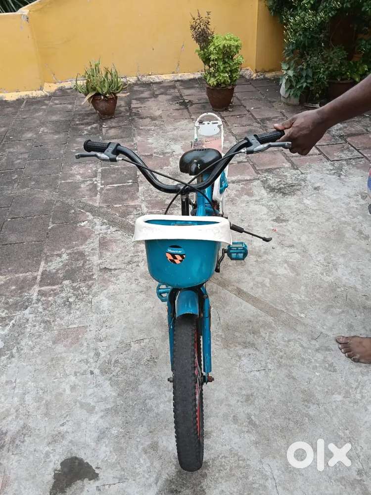 Monstar champion cycle