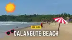 WhatsApp marketing for Goa tourism work from home